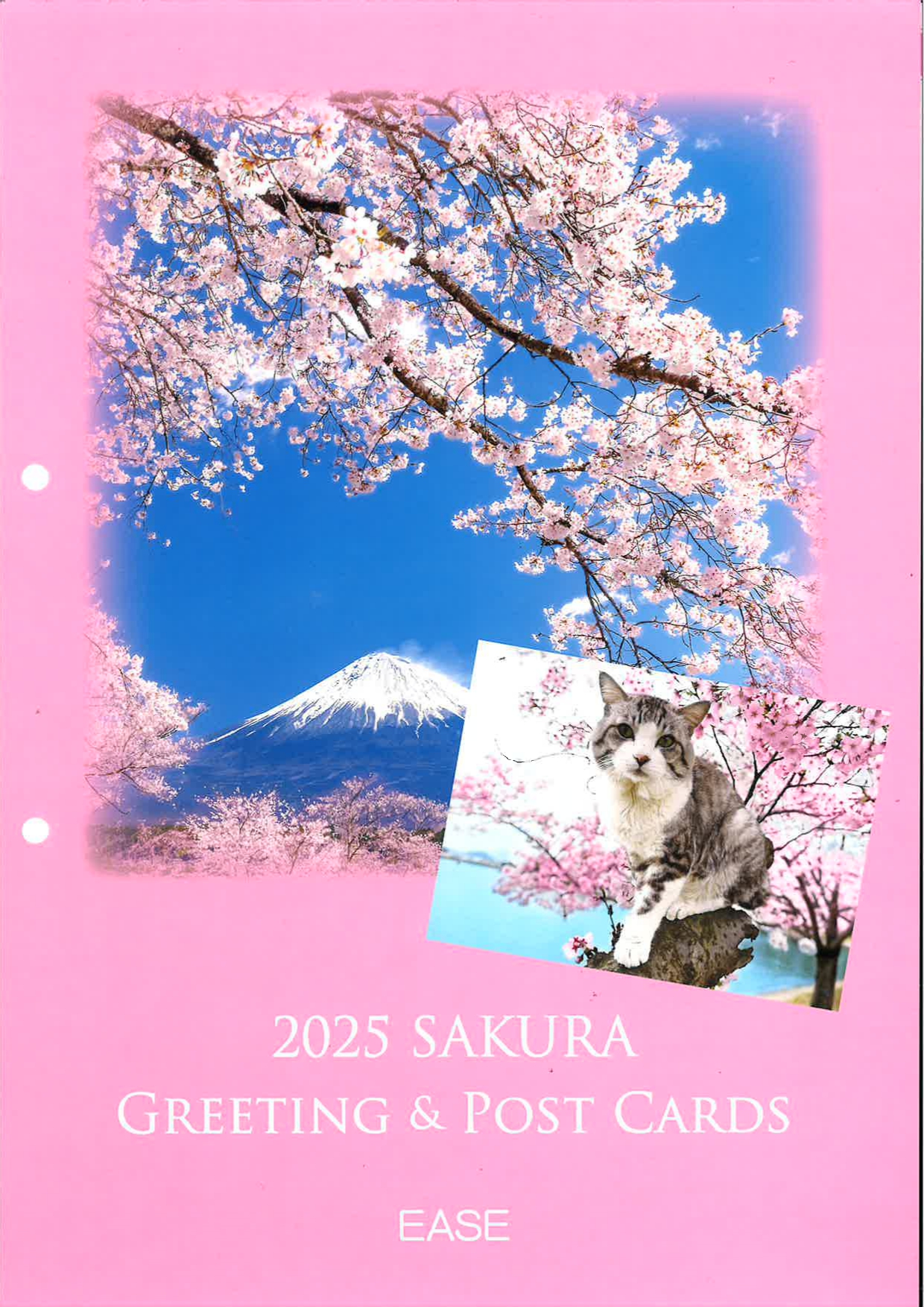 2025 SAKURA Greeting & Post Cards