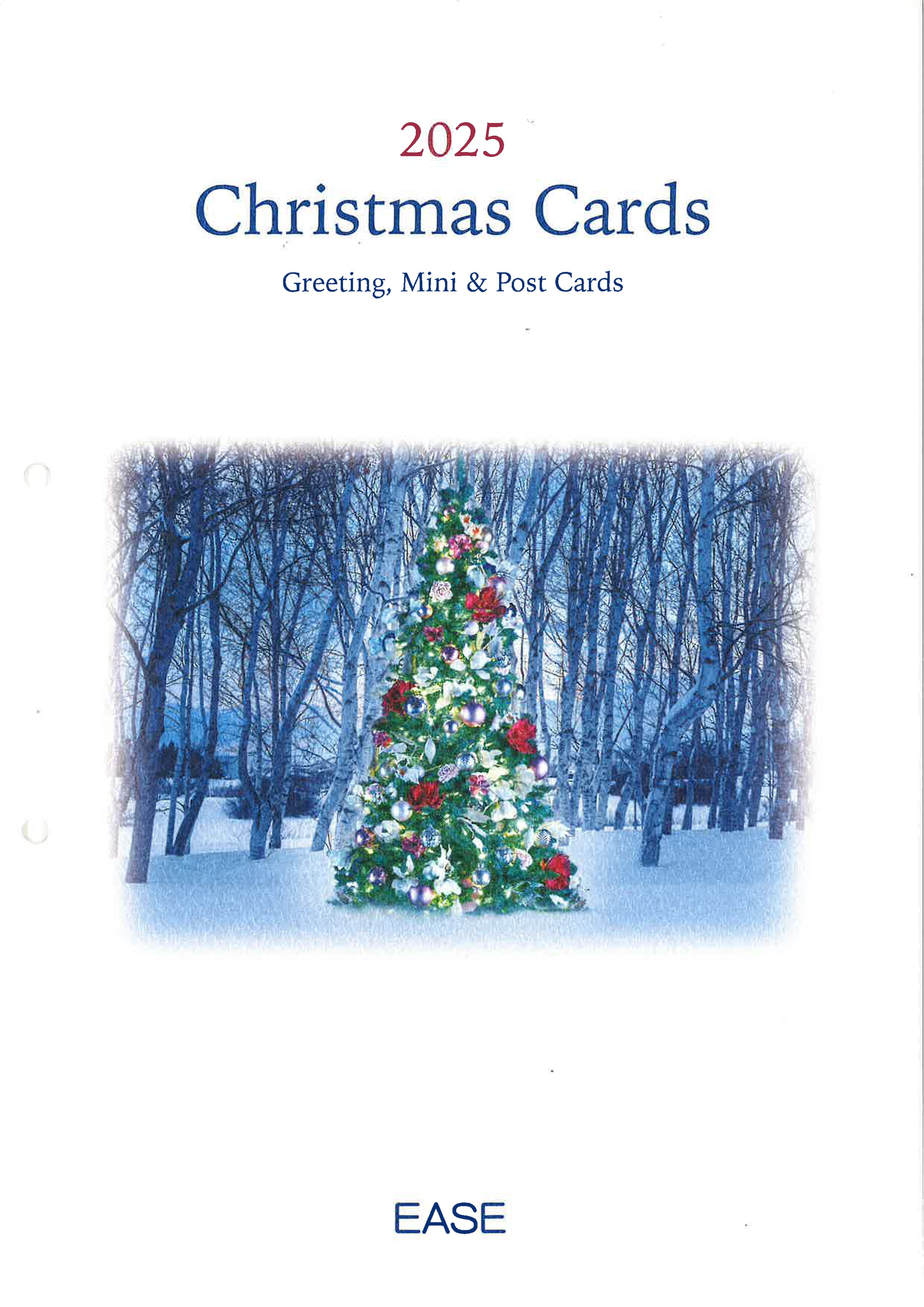 2025 Christmas Cards