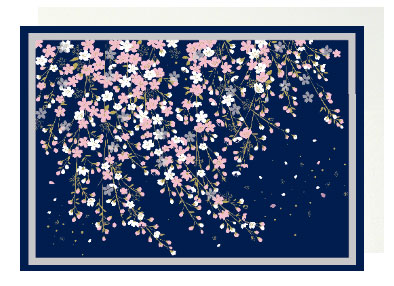 サクラ　ノーメッセージカード4538480741077