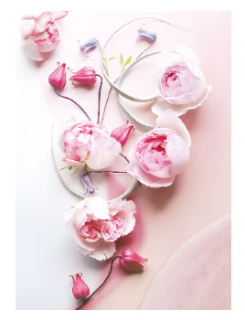 フラワーポストカード4538480741206