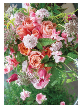 フラワーポストカード4538480741220