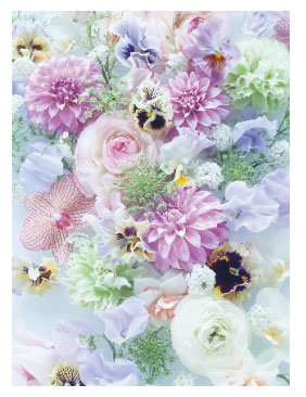 フラワー３Ｄポストカード4538480741268