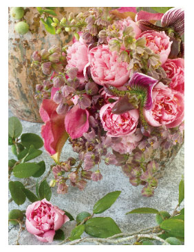 フラワー３Ｄポストカード4538480741275